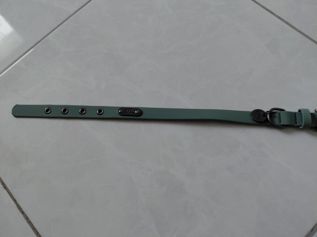 Collier chien