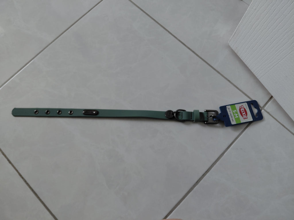 Collier chien