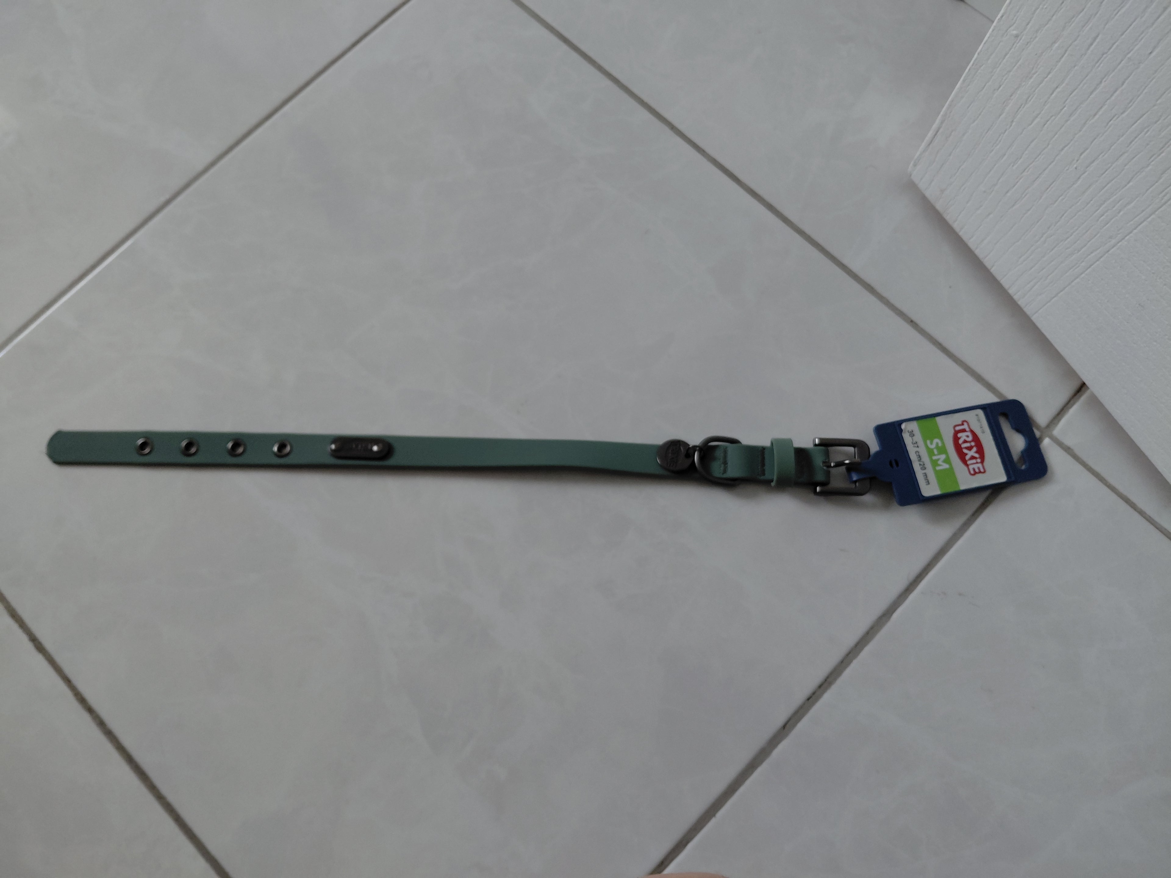 Collier chien