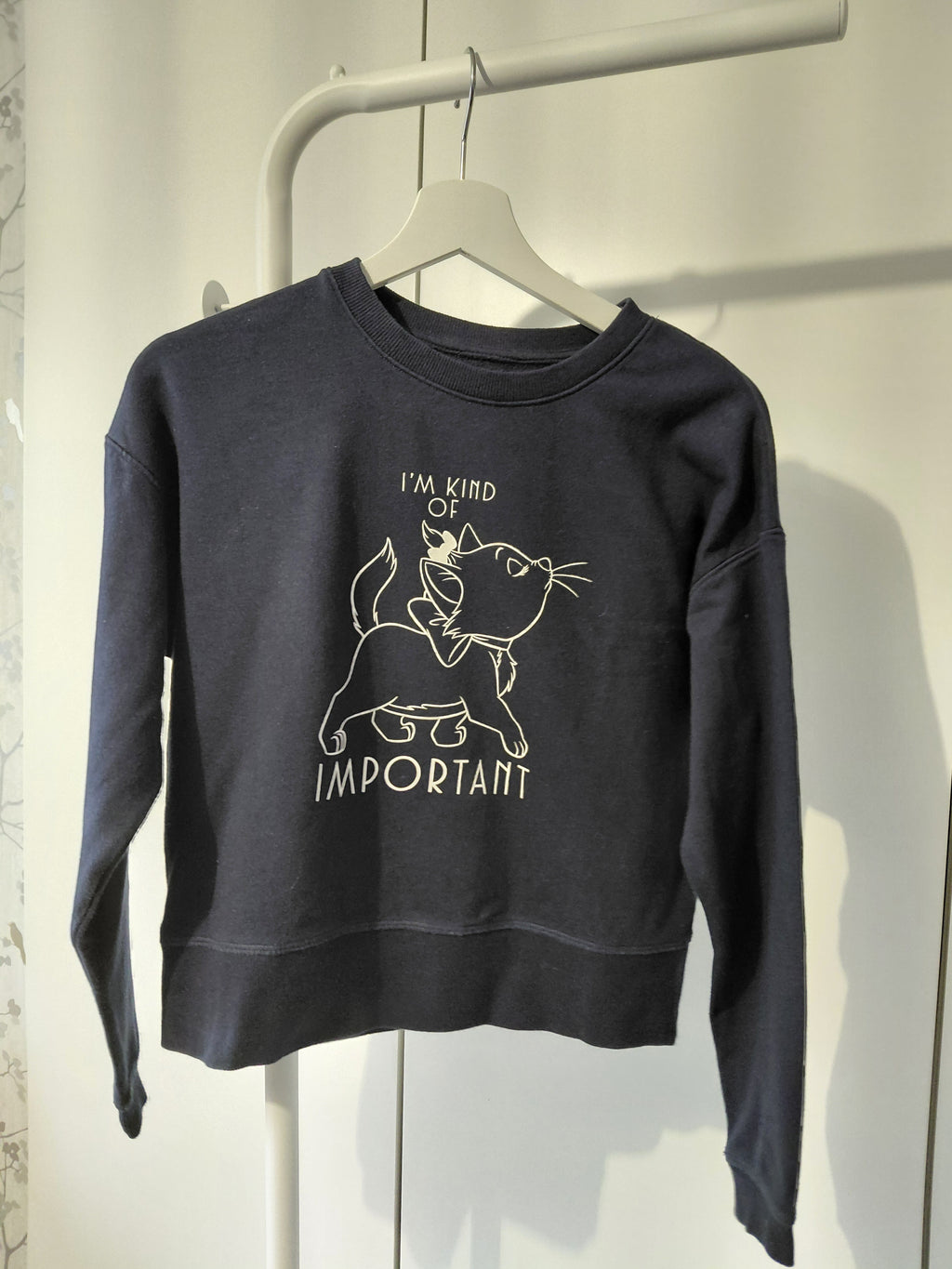 Sweat enfants Disney